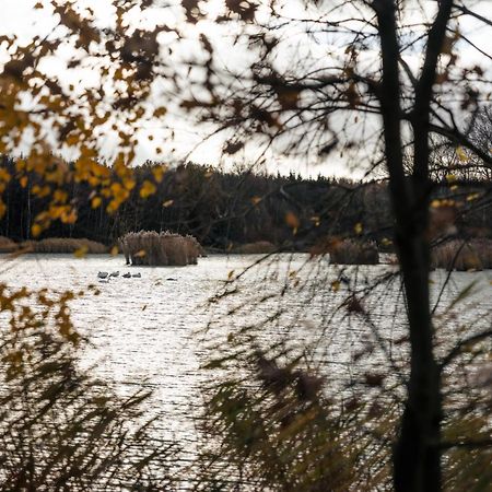 Katlov Homes Cervene Janovice Kültér fotó