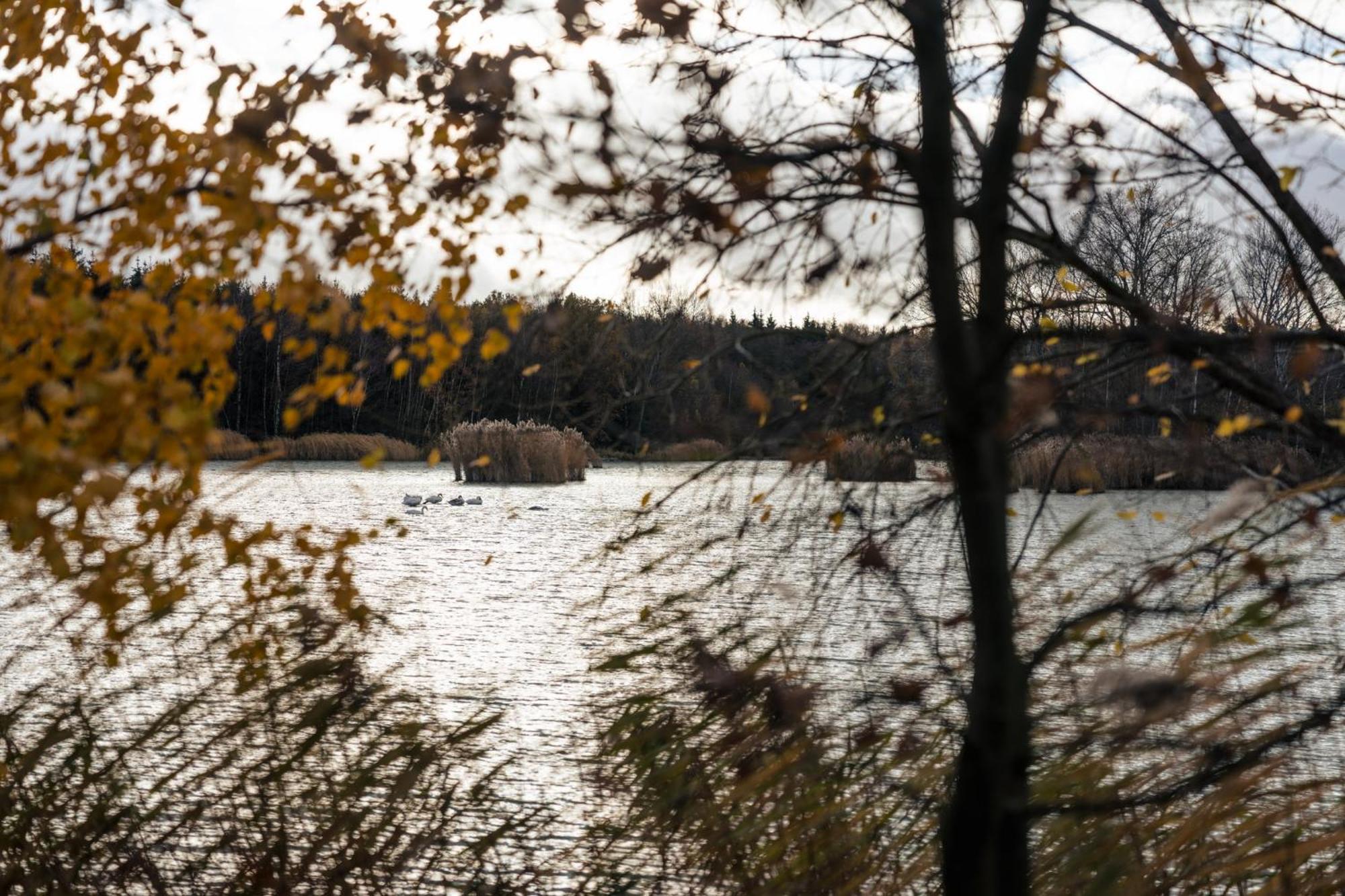 Katlov Homes Cervene Janovice Kültér fotó